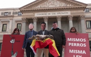 Spanish Animal Welfare Law Draws Backlash