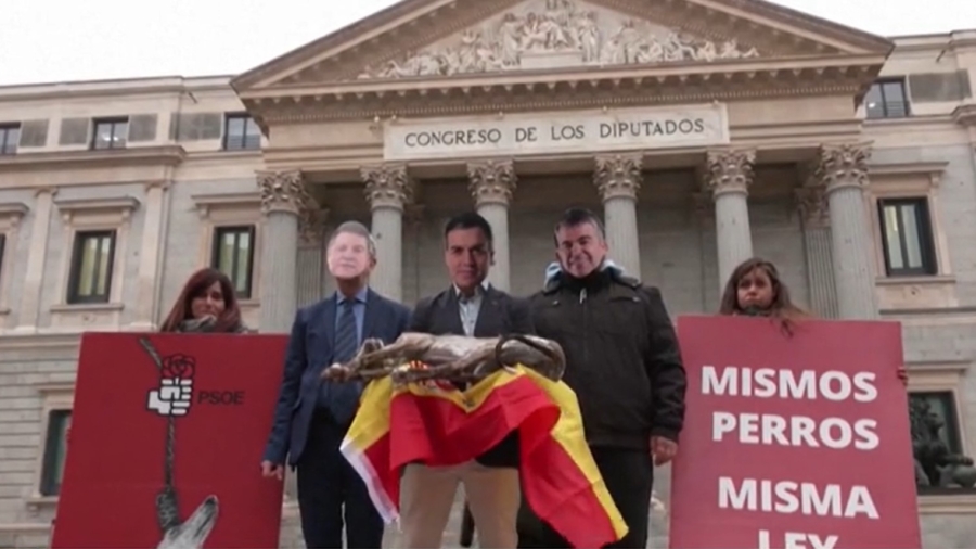 Spanish Animal Welfare Law Draws Backlash