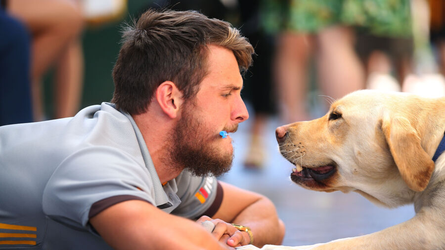 Research Suggests Dogs Recognize Intentions