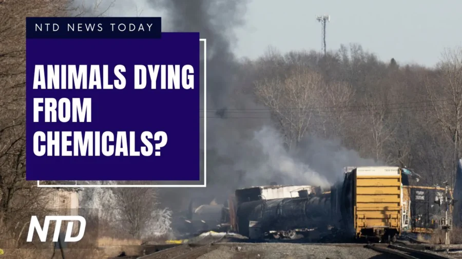 NTD News Today Full Broadcast (Feb. 14)