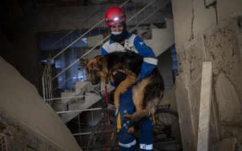 Amid Quake’s Devastation, Parallel Rescue Bid Targets Pets