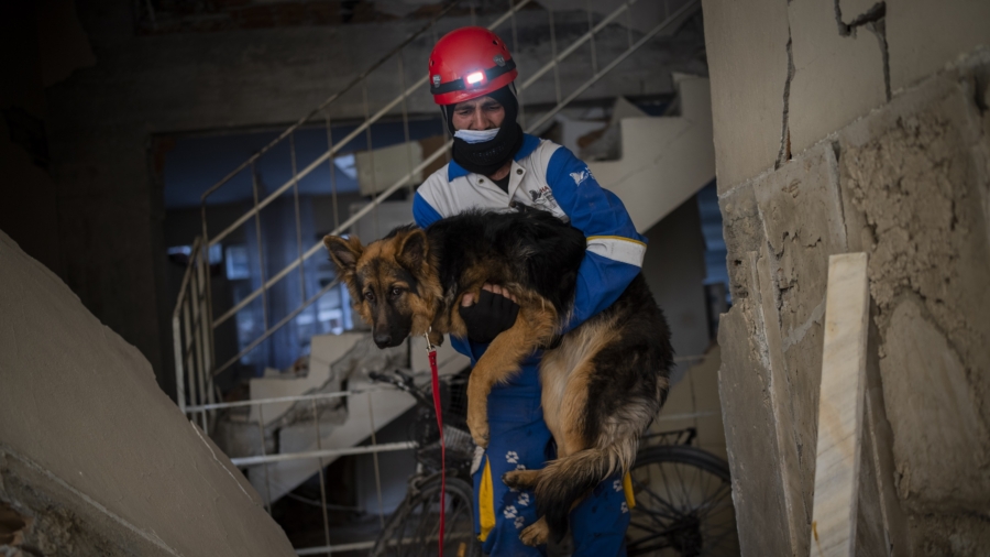 Amid Quake’s Devastation, Parallel Rescue Bid Targets Pets