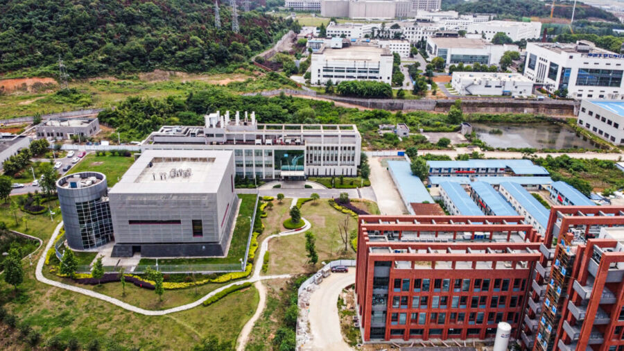Newly Revealed Emails Show 'Concerted Effort to Conceal' Info About Coronavirus Experiments in China: Analyst
