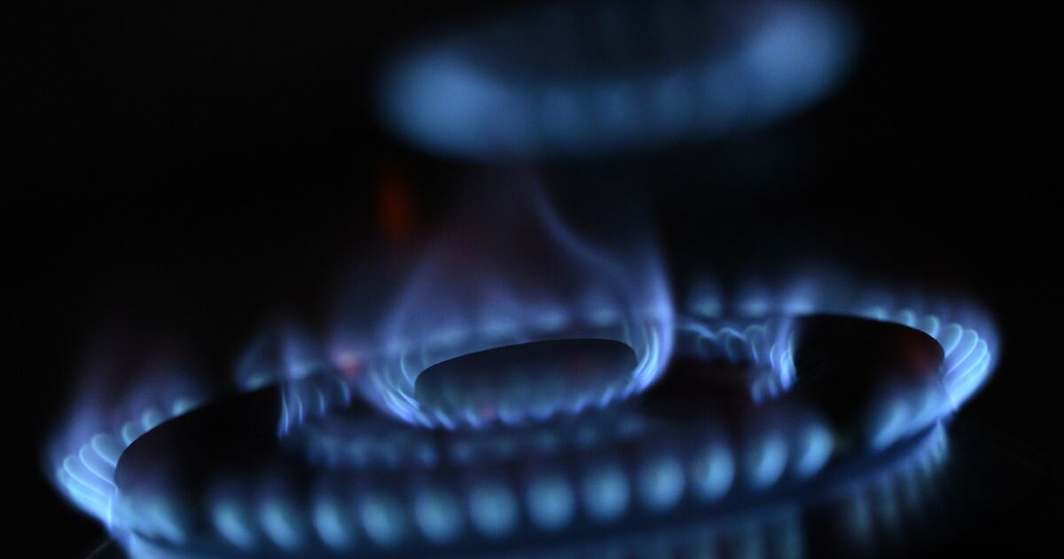 New York Republican Criticizes State’s Plan to Phase Out Gas Stoves NTD