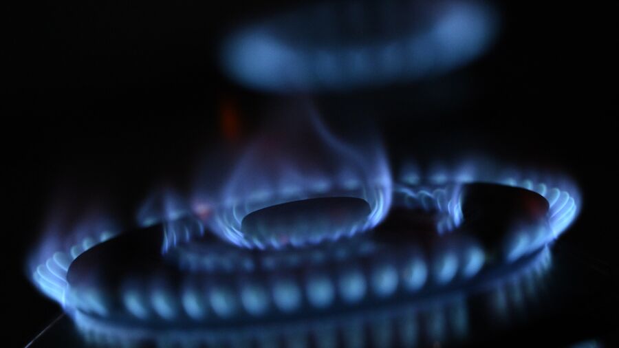 New York Republican Criticizes State’s Plan to Phase Out Gas Stoves