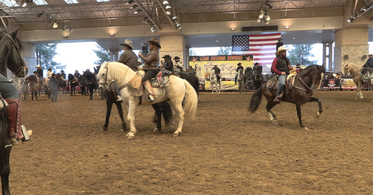 Annual Spanish Horse Dancing Show Comes to Los Angeles NTD