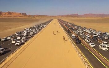 Camels Race Through Saudi Desert, Offering Prize Pool of Over $21 Million