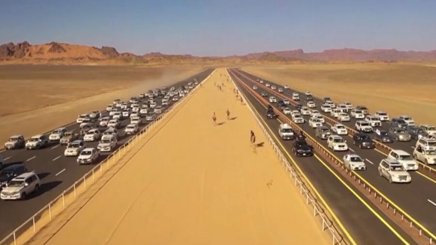 Camels Race Through Saudi Desert, Offering Prize Pool of Over $21 Million