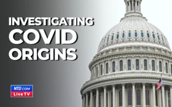 House ‘Investigating the Origins of COVID-19’ in Oversight  Committee Hearing