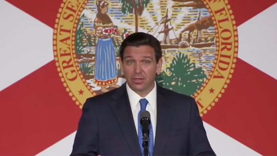 DeSantis Says Experts Were 'Wrong About Almost Everything' With COVID-19