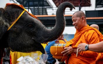 Elephants Honored in Thailand as Part of Nation’s Heritage