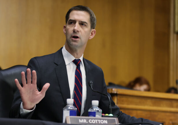 Tom Cotton