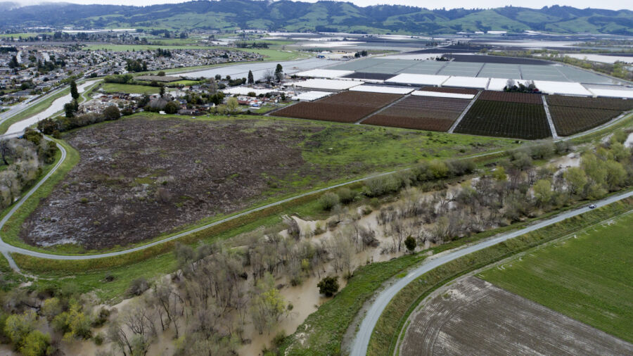 Floods Fill Some of California’s Summer Strawberry Fields