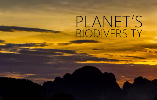 Planet&#8217;s Biodiversity