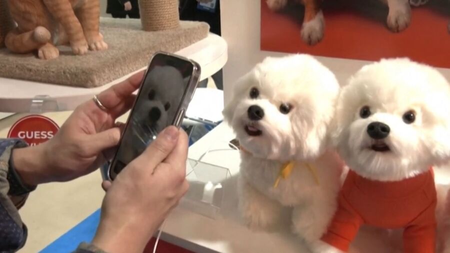 Noseprint Id for Dogs Could Mean No More Microchipping
