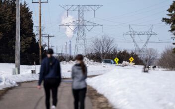 Minnesota Nuclear Plant Shuts Down for Leak; Residents Worry