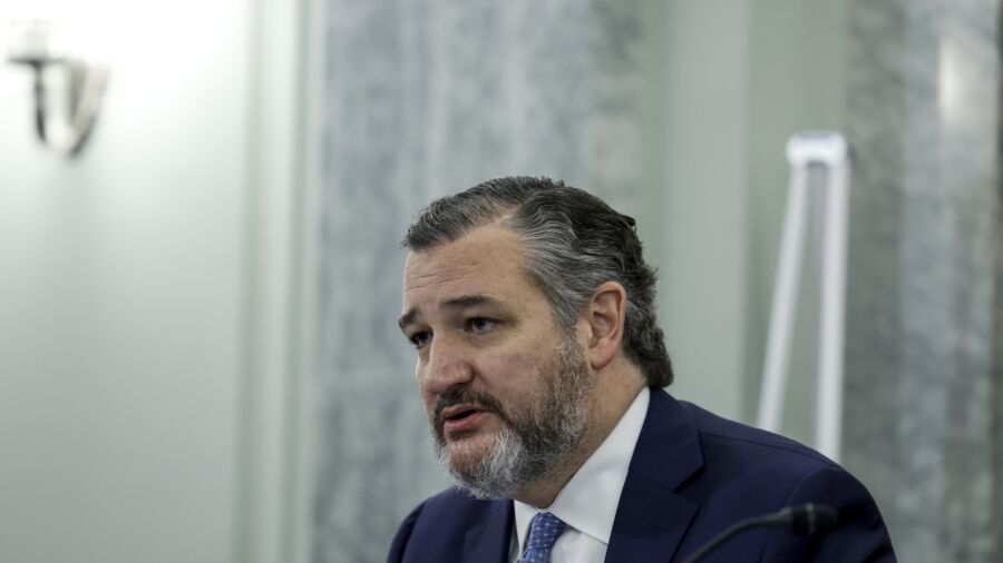 Cruz, Comer Probe Whether Biden Admin Coordinated With Environmentalists on Gas Stove Ban Campaign