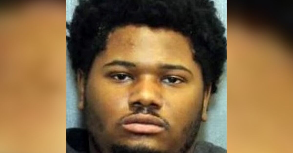 Man Gets 25 Years in Roadside Killing of Tennessee Nurse | NTD