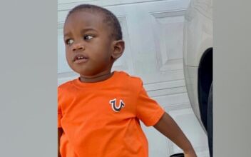 Body of Florida Toddler Found in Alligator Jaws After Search