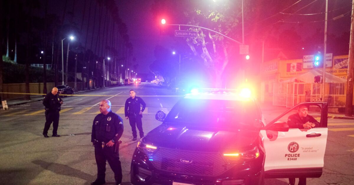 2 Los Angeles Police Officers Shot by Parolee Released From Hospital | NTD