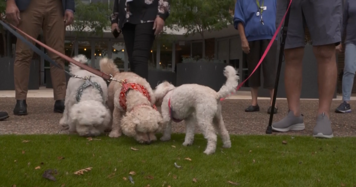 Pets Bring Health Benefits to Retirement Home NTD