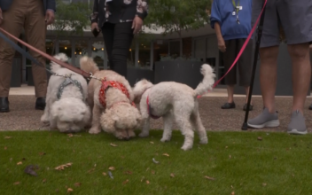 Pets Bring Health Benefits to Retirement Home