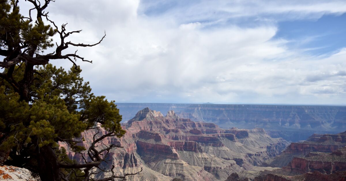 North Dakota Teen Survives Nearly 100 Foot Fall At North Rim Of Grand