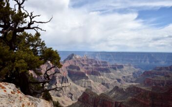 North Dakota Teen Survives Nearly 100-Foot Fall at North Rim of Grand Canyon