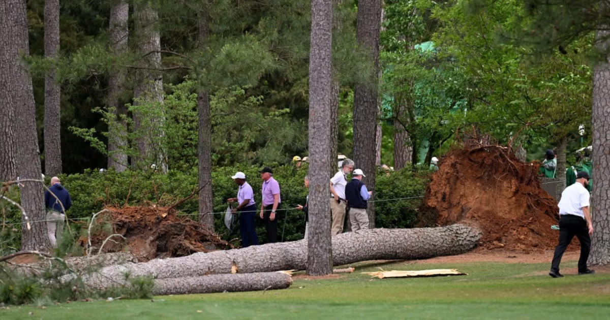 Trees Topple Near Crowd at Masters Golf Tournament NTD