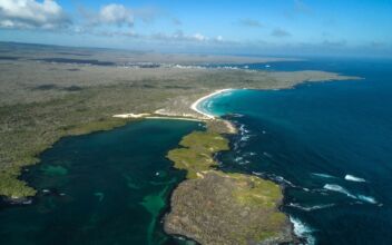 Houston Zoo Brings Galapagos Islands to US