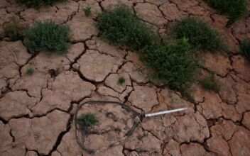 Biden Admin Proposes Reducing Water Supply From Colorado River Basin Amid Drought