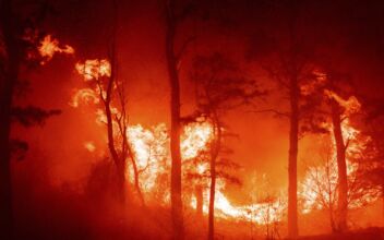 Massive New Jersey Pine Barrens Fire Now Fully Contained