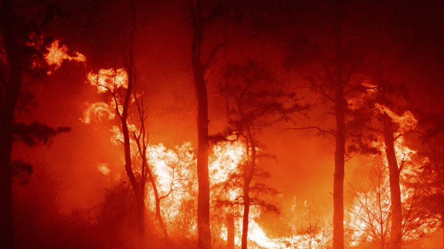 Massive New Jersey Pine Barrens Fire Now Fully Contained