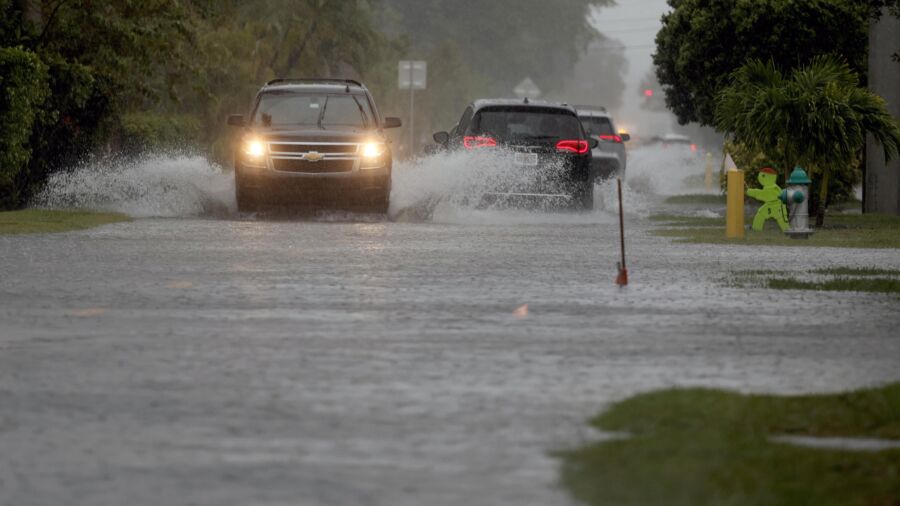 Weather Watch Safety Tips: Have Action Plan, Cell Phone, and Radio at the Ready, Says Meteorologist