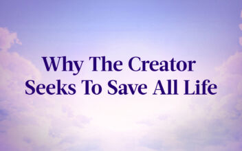 Why The Creator Seeks To Save All Life