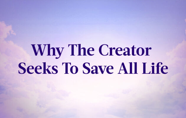 Why The Creator Seeks To Save All Life