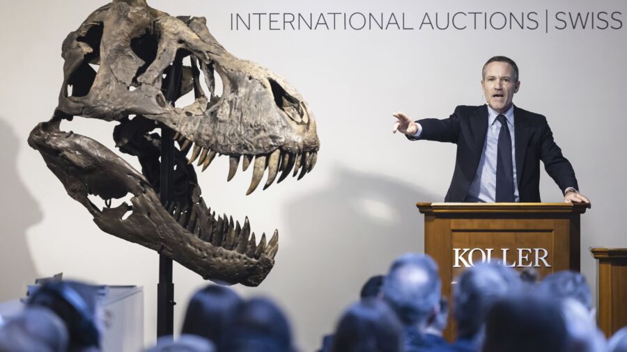 T. Rex Skeleton Sells for More Than $5 Million at Zurich Auction
