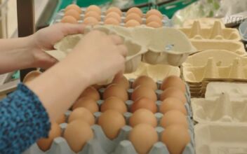 Free-Range Eggs Return to Supermarkets