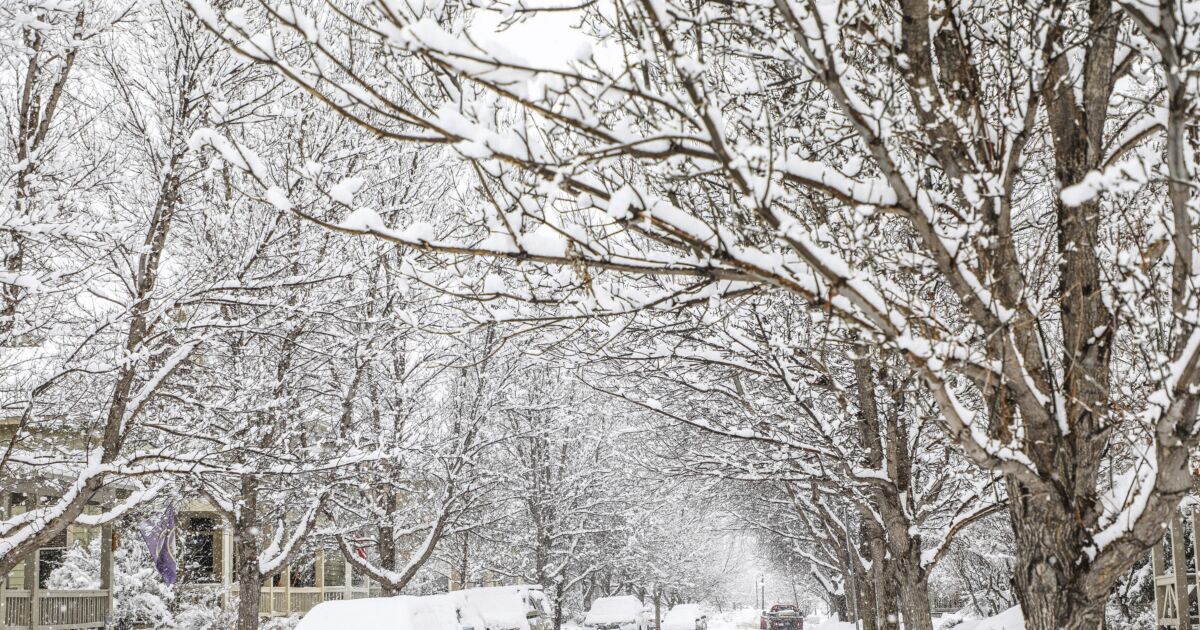 Michelin Recalls Tires That Don’t Have Enough Snow Traction NTD