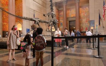 Natural History Museum’s New Wing Opens Next Week