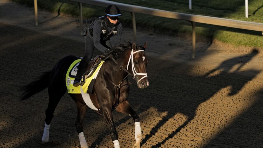 Forte Placed on Kentucky Veterinary List, Clouding Preakness Plans