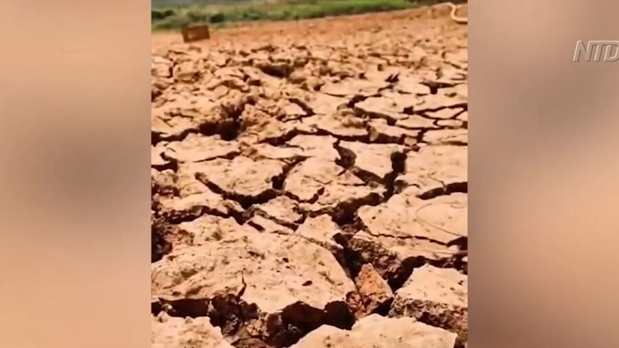 Prolonged Drought in Southeast China Hits Agriculture