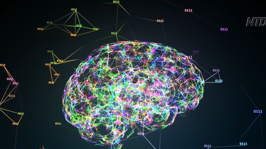 Controlling Machines With the Mind: China Announces World’s 1st BCI Success on Non-Human Primates