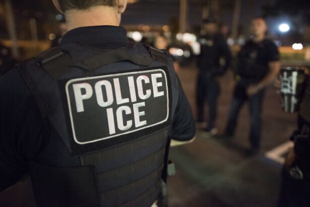 U S Immigration And Customs Enforcement Officers