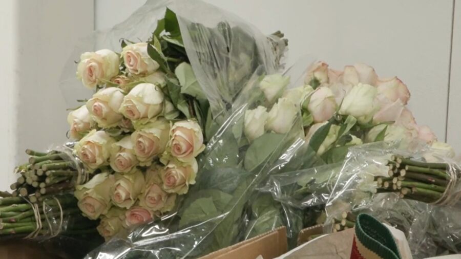 Imported Flowers Inspected for Mother’s Day