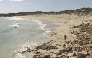 Pieces That May Be From Wetsuit, Surfboard Found After Surfer Attacked by Shark Off South Australia