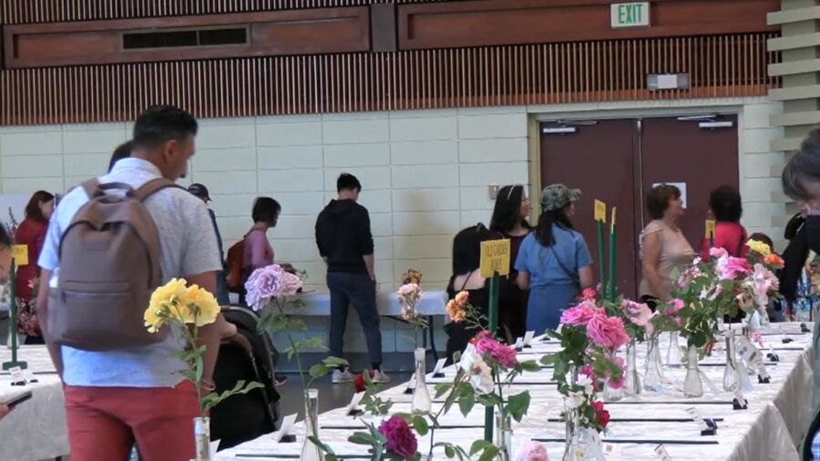 Rose Show to Honor Moms on Mother's Day