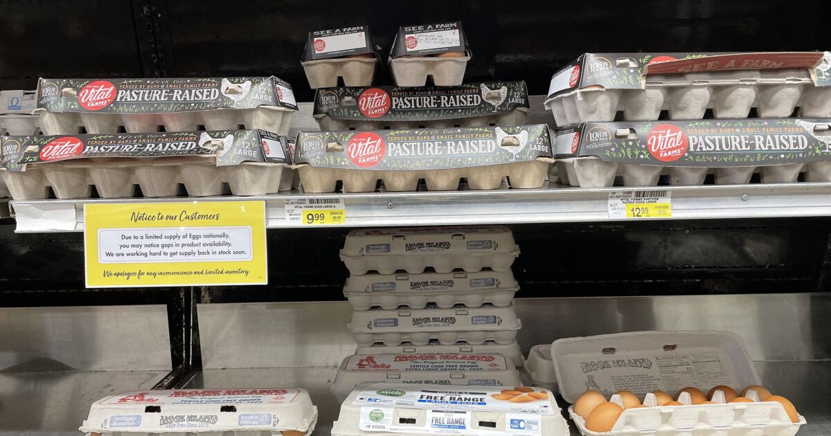 Egg Prices Are Crashing—Here’s Why NTD