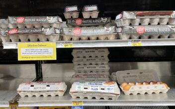 Egg Prices Are Crashing—Here’s Why