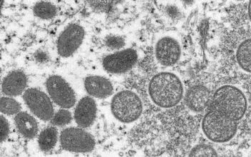 Monkeypox Alert Issued By CDC Over New Cases in Major US City